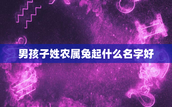 男孩子姓农属兔起什么名字好，属兔的男孩取名字宜忌