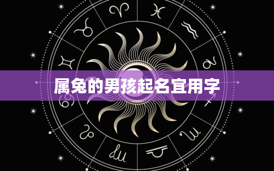 属兔的男孩起名宜用字，2023年最旺男孩名字