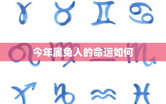 今年属兔人的命运如何，今年属兔的命运怎么样