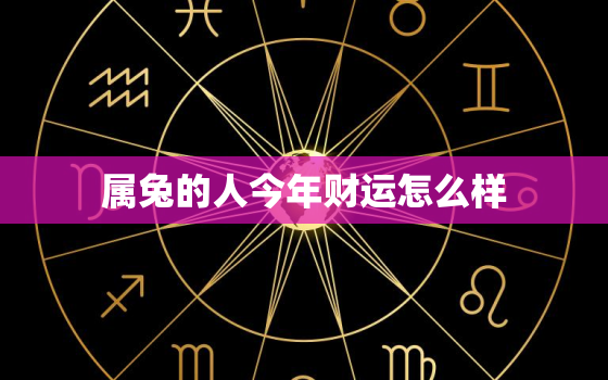 属兔的人今年财运怎么样，属兔的人今年财运怎么样2021年