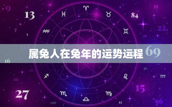 属兔人在兔年的运势运程，属兔人在兔年的运势运程是什么