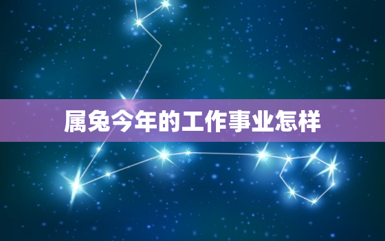 属兔今年的工作事业怎样，属兔今年的工作事业怎样样