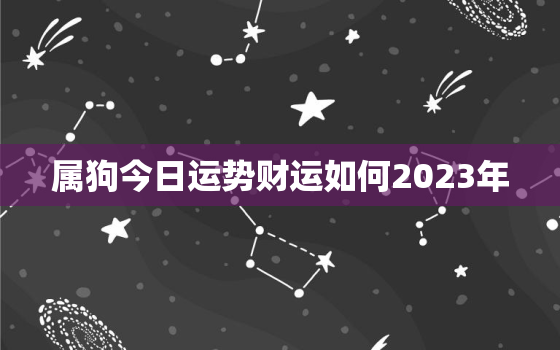 属狗今日运势财运如何2023年，属狗今日运势财运神巴巴