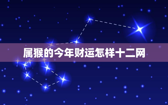 属猴的今年财运怎样十二网，属猴的今年财运好不好