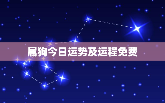 属狗今日运势及运程免费，属狗的今日运势及运程