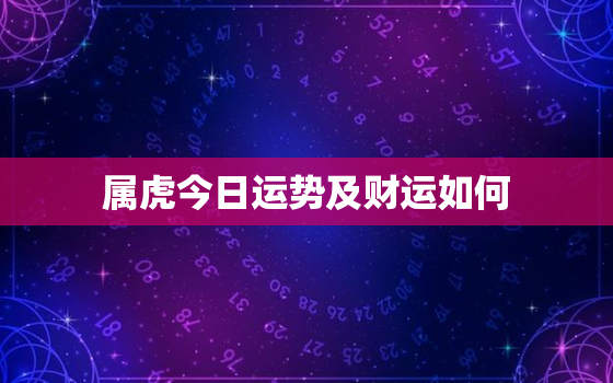 属虎今日运势及财运如何，属虎今日的运势和财运