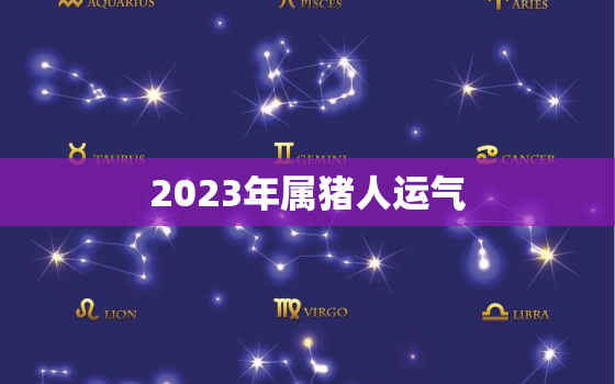 2023年属猪人运气，2023属猪要小心一个人