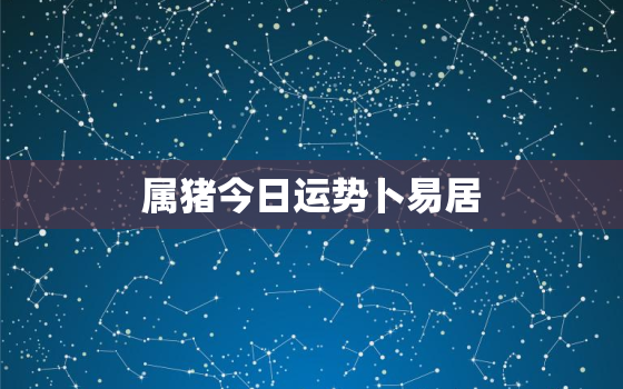 属猪今日运势卜易居，属猪今日运势每日更新内容