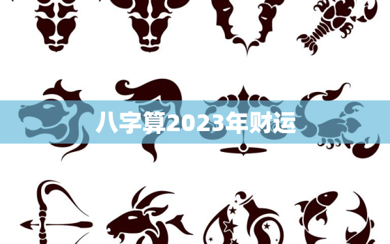 八字算2023年财运，2023年有哪些八字财运好