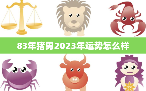 83年猪男2023年运势怎么样，83属猪2023年有三喜