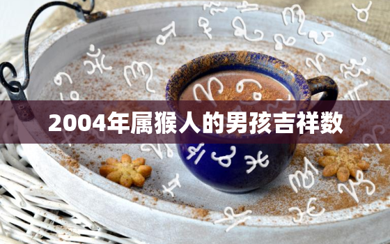 2004年属猴人的男孩吉祥数，2004年属猴人的男孩吉祥数字是什么