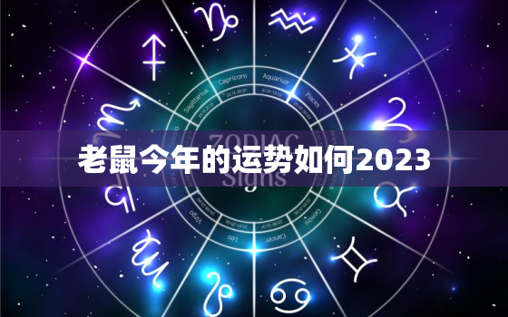 老鼠今年的运势如何2023，72年属鼠50岁有一灾