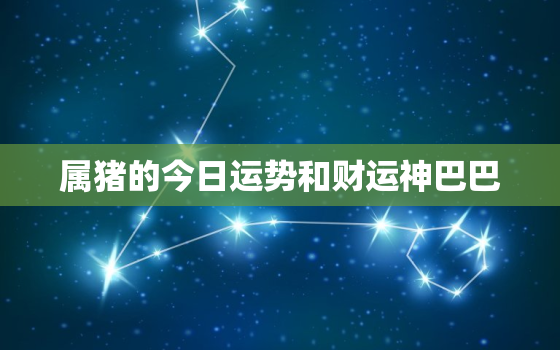 属猪的今日运势和财运神巴巴，属猪的人今日运势和财运如何水墨先生