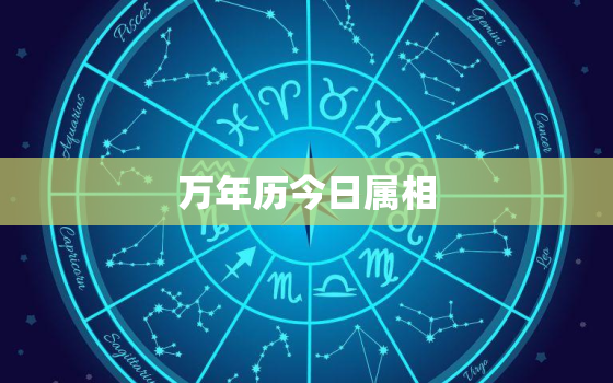 万年历今日属相，万年历今日属相查询2021年6月11日