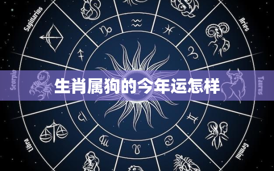 生肖属狗的今年运怎样，属狗的今年的运势怎么样啊