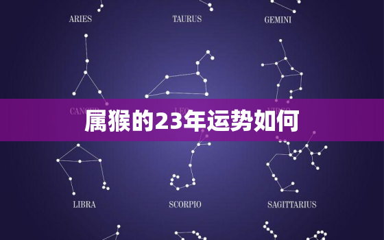 属猴的23年运势如何，属猴的人2023年的运势