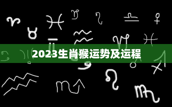 2023生肖猴运势及运程，2023猴全年运势