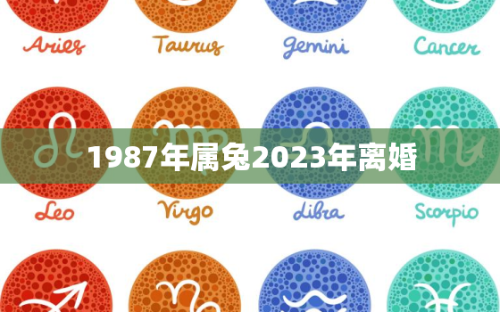 1987年属兔2023年离婚，87年属兔2023年岁婚姻情况