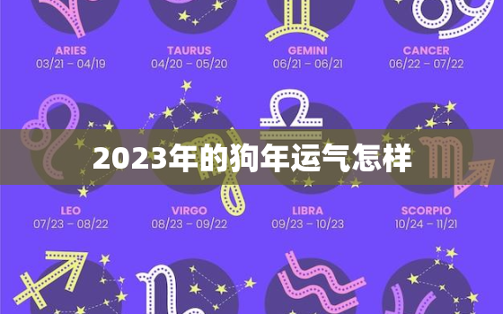 2023年的狗年运气怎样，82年属狗41岁有一灾