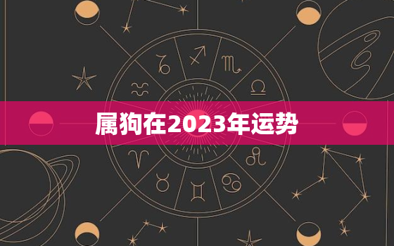 属狗在2023年运势，属狗2023年运势详解全年运程