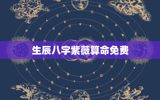 生辰八字紫薇算命免费，斗数免费自助解盘