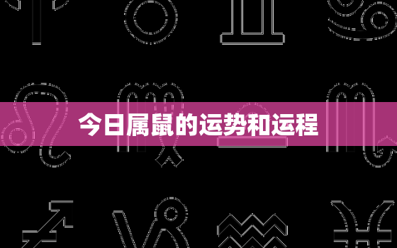 今日属鼠的运势和运程，今日属鼠的运势和运程如何