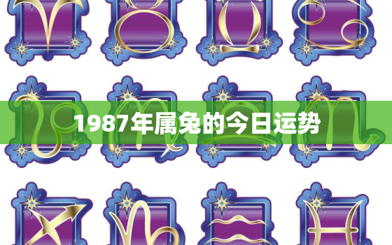 1987年属兔的今日运势，1987年生肖兔今日运势