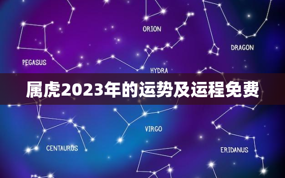 属虎2023年的运势及运程免费，属虎人2023年运势及运程