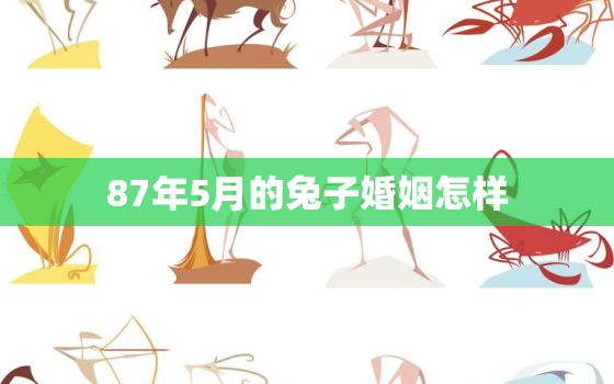 87年5月的兔子婚姻怎样，87年5月的兔好不好