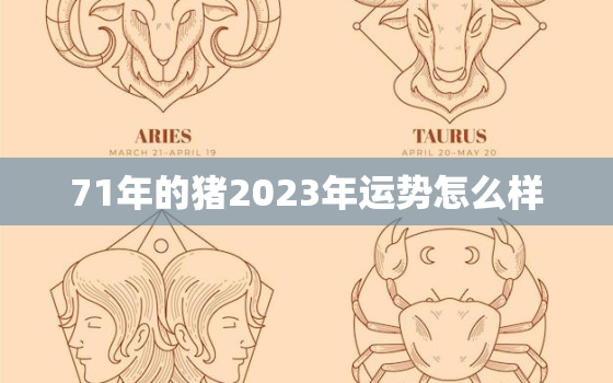 71年的猪2023年运势怎么样，71年属猪2023年运势