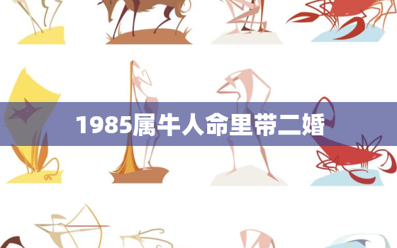 1985属牛人命里带二婚，属牛人2023有牢狱之灾