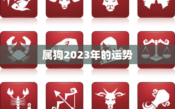 属狗2023年的运势，属狗2023年的运势及运程男