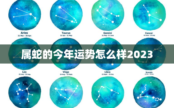 属蛇的今年运势怎么样2023，属蛇的今年运势怎么样2023女