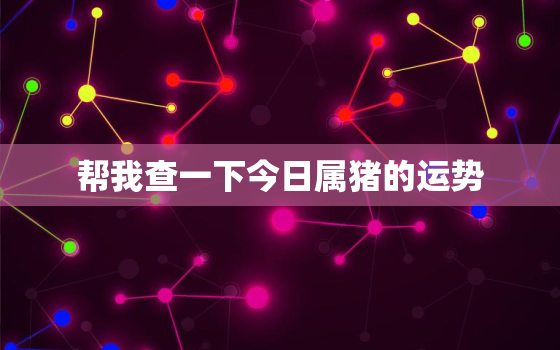 帮我查一下今日属猪的运势，今日属猪人运势财运如何