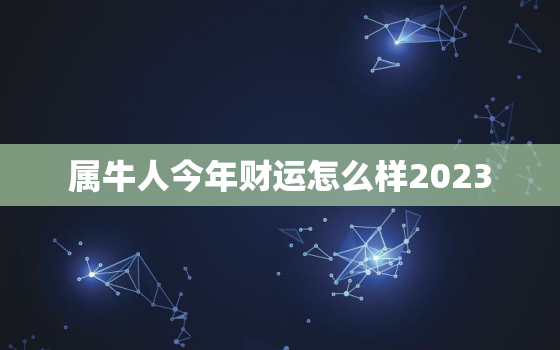 属牛人今年财运怎么样2023，2023年1985属牛横财运爆发