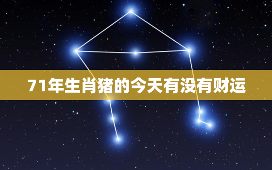 71年生肖猪的今天有没有财运，71年属猪人今天运气怎么样