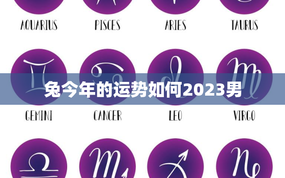 兔今年的运势如何2023男，属兔人今年运势2023年每月运势