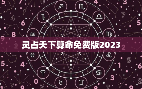 灵占天下算命免费版2023，灵占算命八字2023