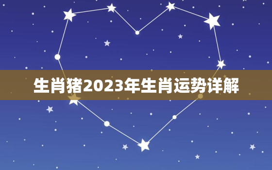 生肖猪2023年生肖运势详解，生肖猪2023年运势大全