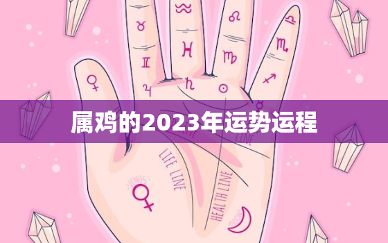 属鸡的2023年运势运程，1993年属鸡2023年的运势及运程