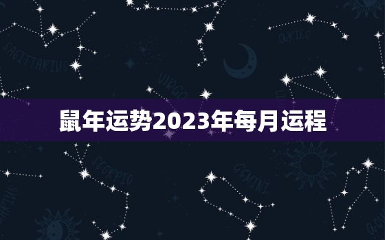 鼠年运势2023年每月运程，鼠年运势2023年运程每月运气