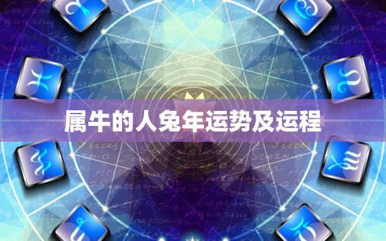 属牛的人兔年运势及运程，牛年属兔运势2023年运势