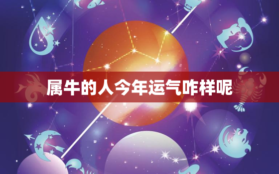 属牛的人今年运气咋样呢，属牛之人今年的运气