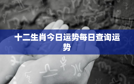 十二生肖今日运势每日查询运势，2023年运程十二生肖每月运程