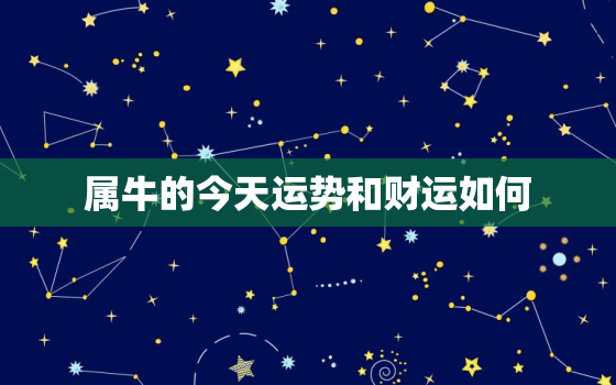 属牛的今天运势和财运如何，属牛今天的运气怎么样？