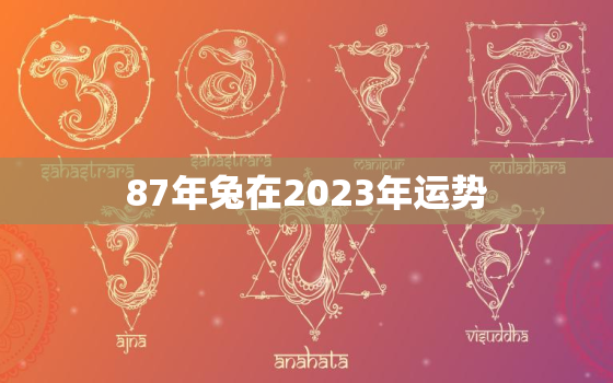 87年兔在2023年运势，84年鼠2023年运势及运程