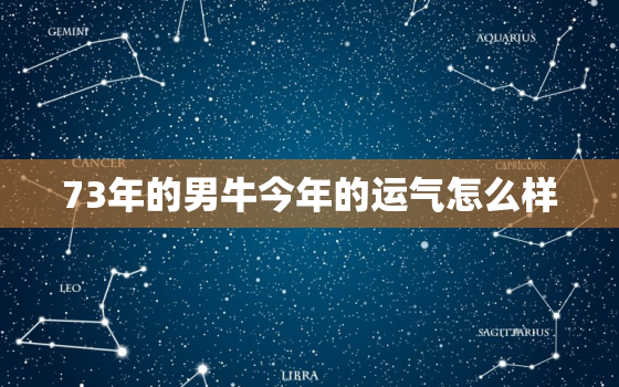 73年的男牛今年的运气怎么样，73年属牛男人2023年的命运