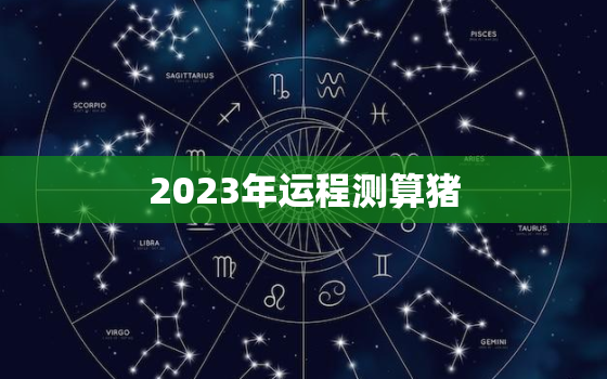 2023年运程测算猪，2023年属猪人全年运势