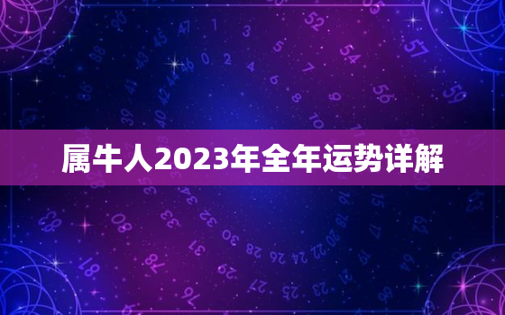 属牛人2023年全年运势详解，属牛人2023年全年运势详解1985