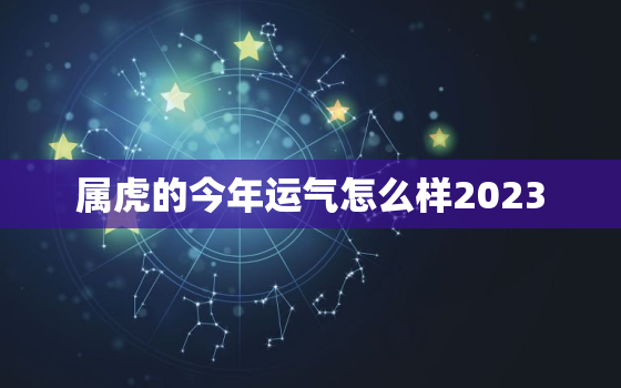 属虎的今年运气怎么样2023，属虎的今年运气怎么样2023